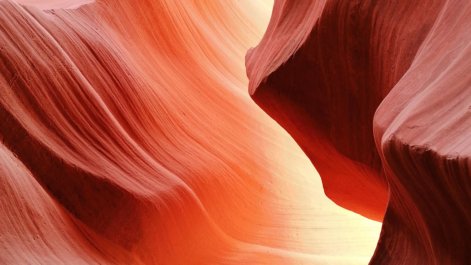 Menstrual/PMS Issues